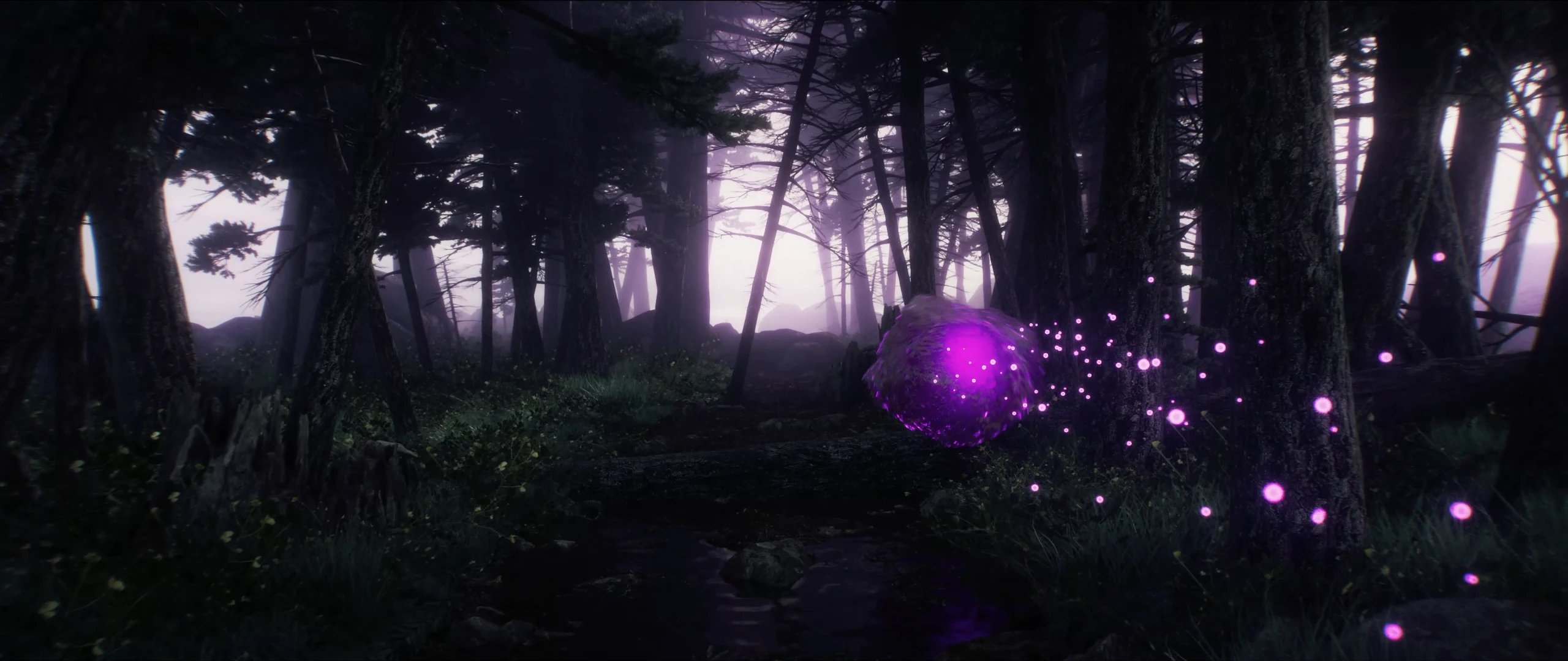 La forêt du film, traversée de particules violettes.