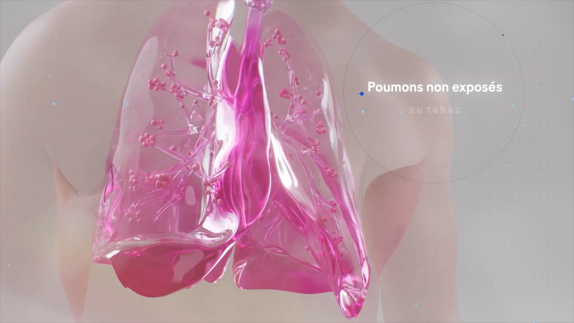 Roche — Novembre Perle