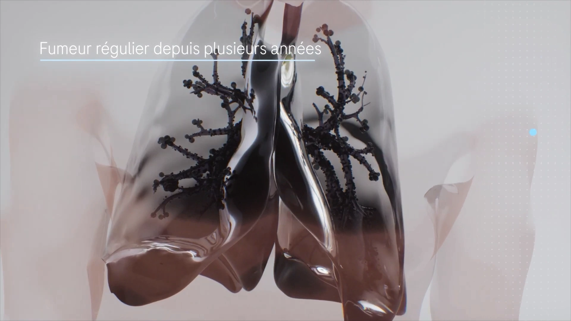 Poumons sombres et annotations dans une visualisation anatomique 3D.