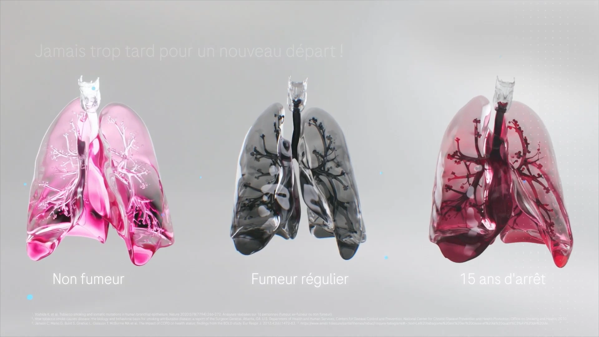 Trois représentations de poumons réunies dans le film Roche.
